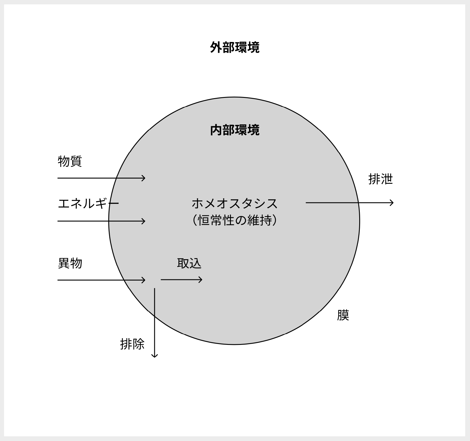 Homeostasis - OpenSquareJP｜井上貢一研究室