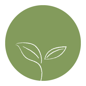 futaba.png futaba.png