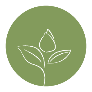 tubomim.png tubomim.png