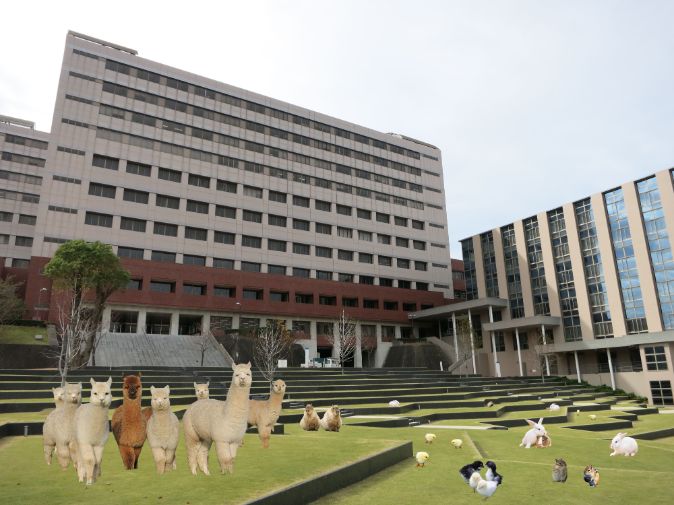 妄想キャンパス△.jpg 妄想キャンパス△.jpg